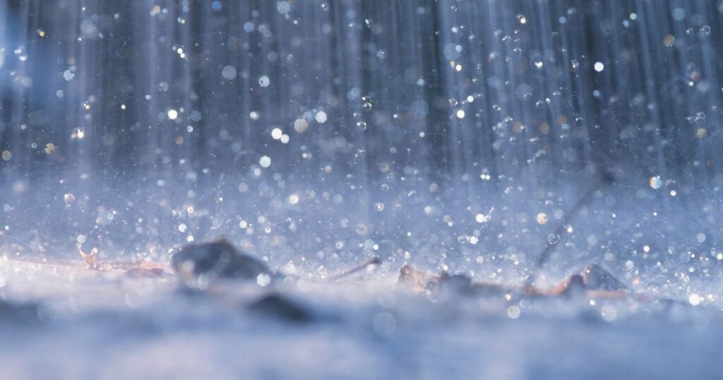 雨